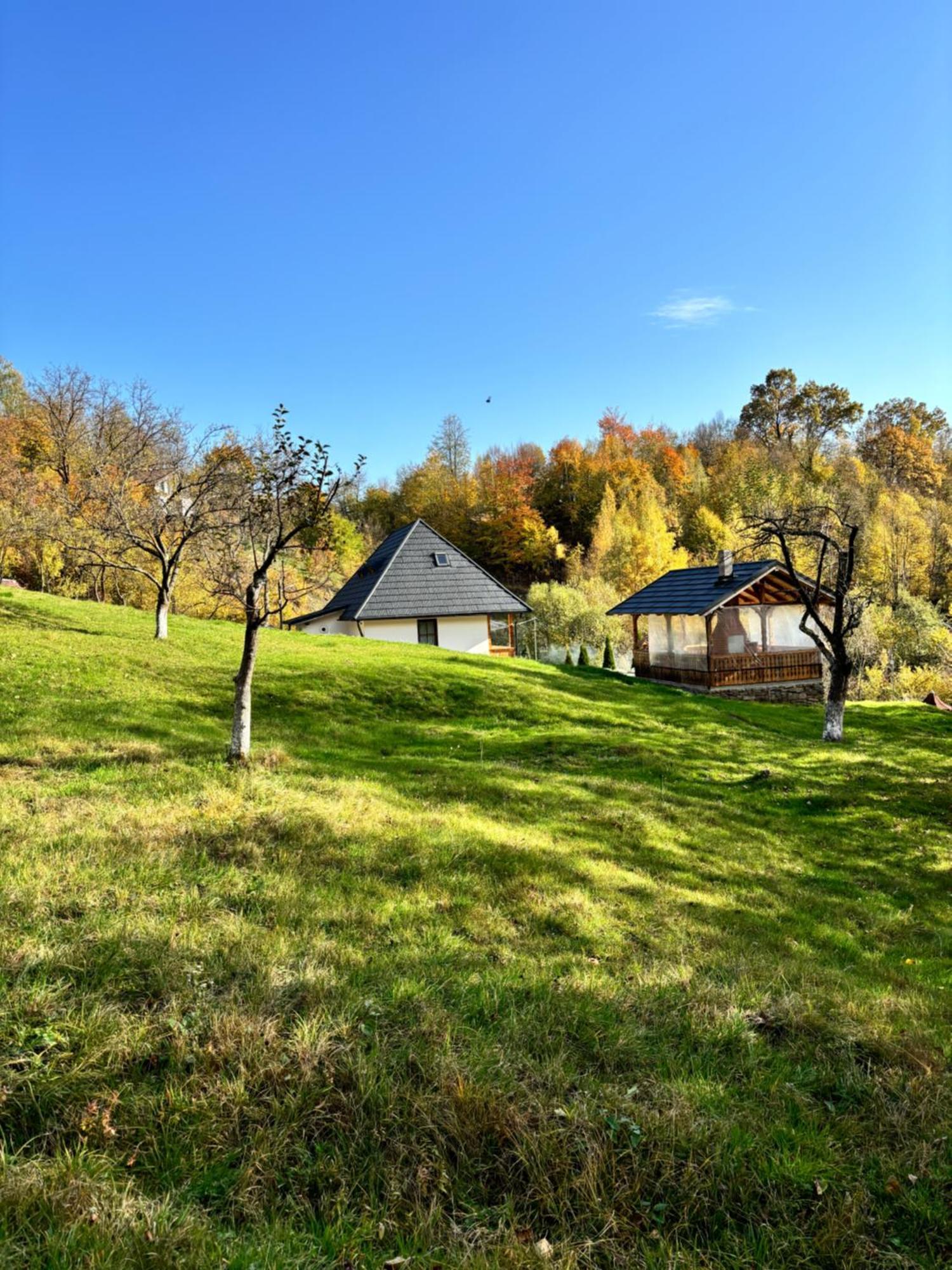 Casa Berg Ξενοδοχείο Vişeu de Sus Εξωτερικό φωτογραφία